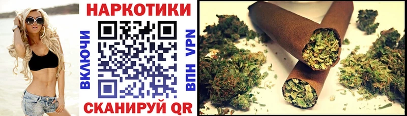 Как найти наркотики Новозыбков ГАШИШ  Канабис  Кокаин  blacksprut маркетплейс  МЕФ 