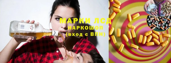 ECSTASY Алзамай