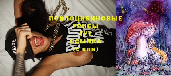 ECSTASY Алзамай