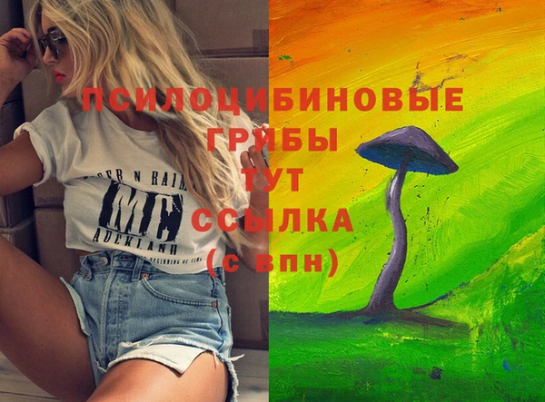 ECSTASY Алзамай
