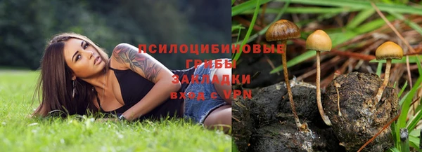 молекула духа Алексеевка