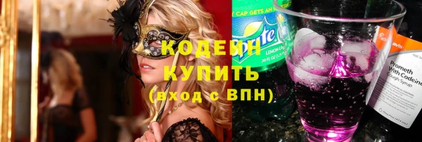 ECSTASY Алзамай