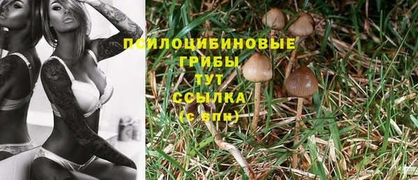 молекула духа Алексеевка