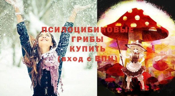 молекула духа Алексеевка