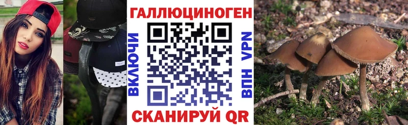 Галлюциногенные грибы мухоморы  Новозыбков 